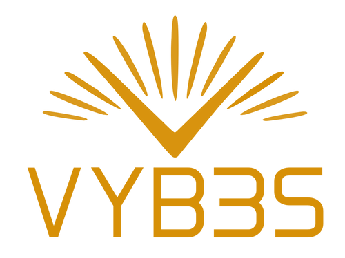 VYB3S Mushroom Coffee