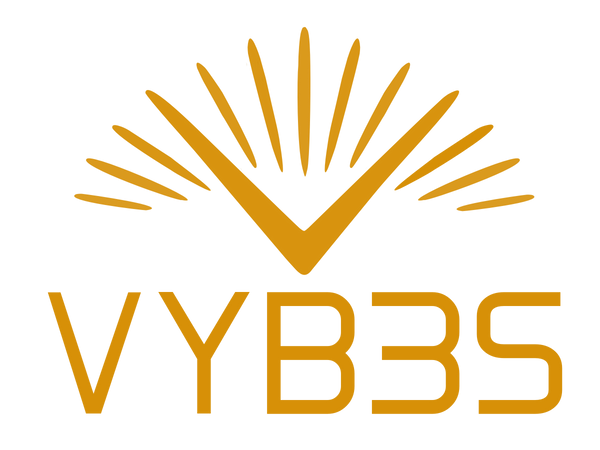 VYB3S Mushroom Coffee